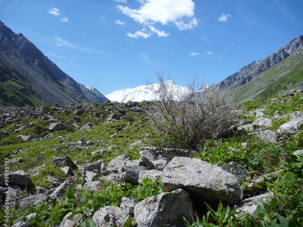 a mountain valley in Kyrgyzstan