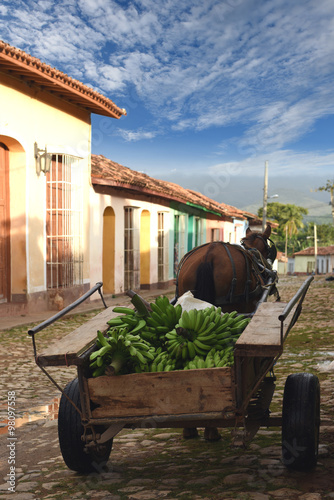 Cuba, Trinidad - horse pulls banana wagon 