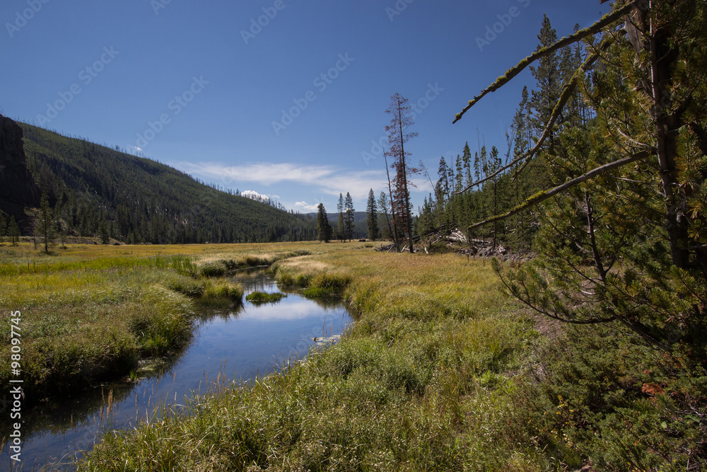 Obraz premium The beauty of Yellowstone valley