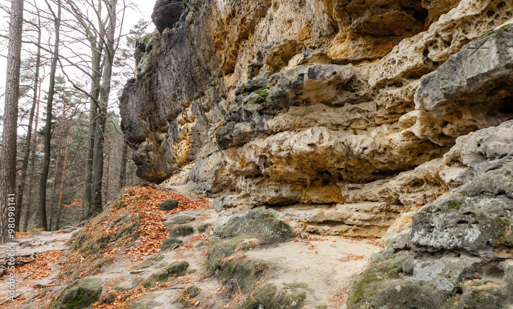 Obraz premium Stone in Bohemian switzerland
