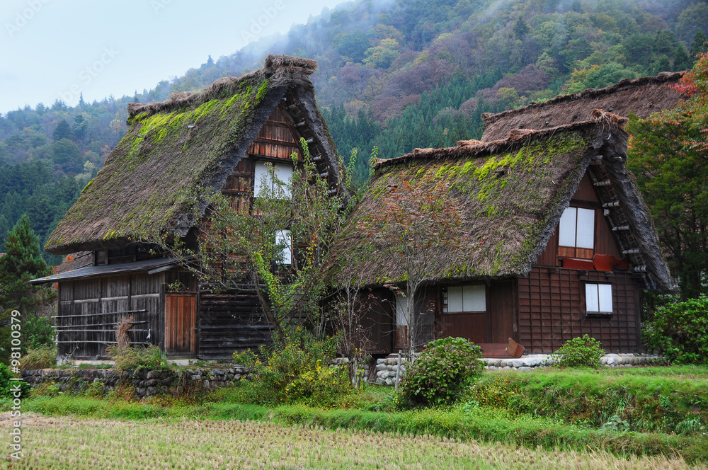 japan Traditional House in Shirakawago