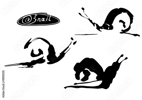 snail vector
