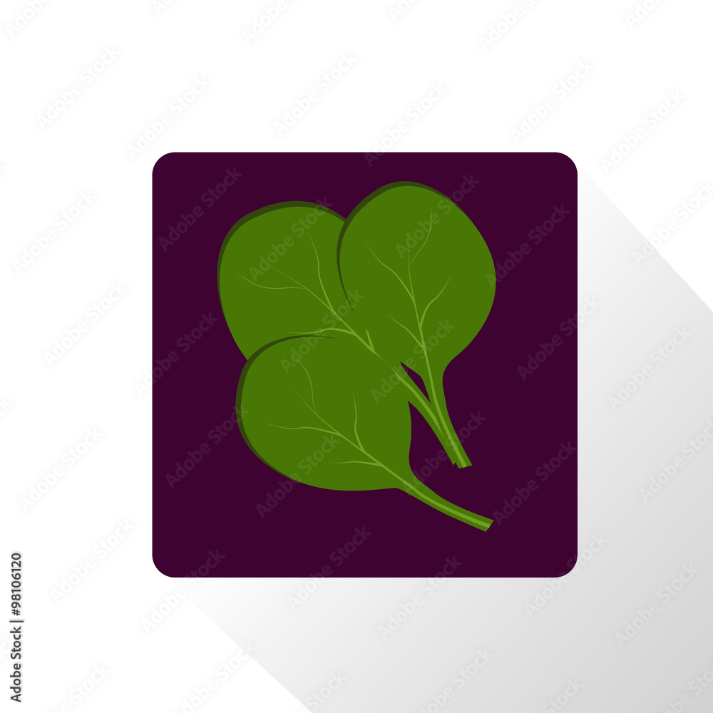 Spinach leaves icon