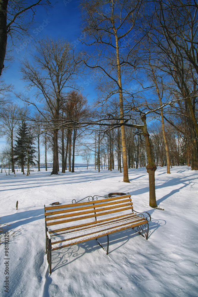 Bench in city park at winter