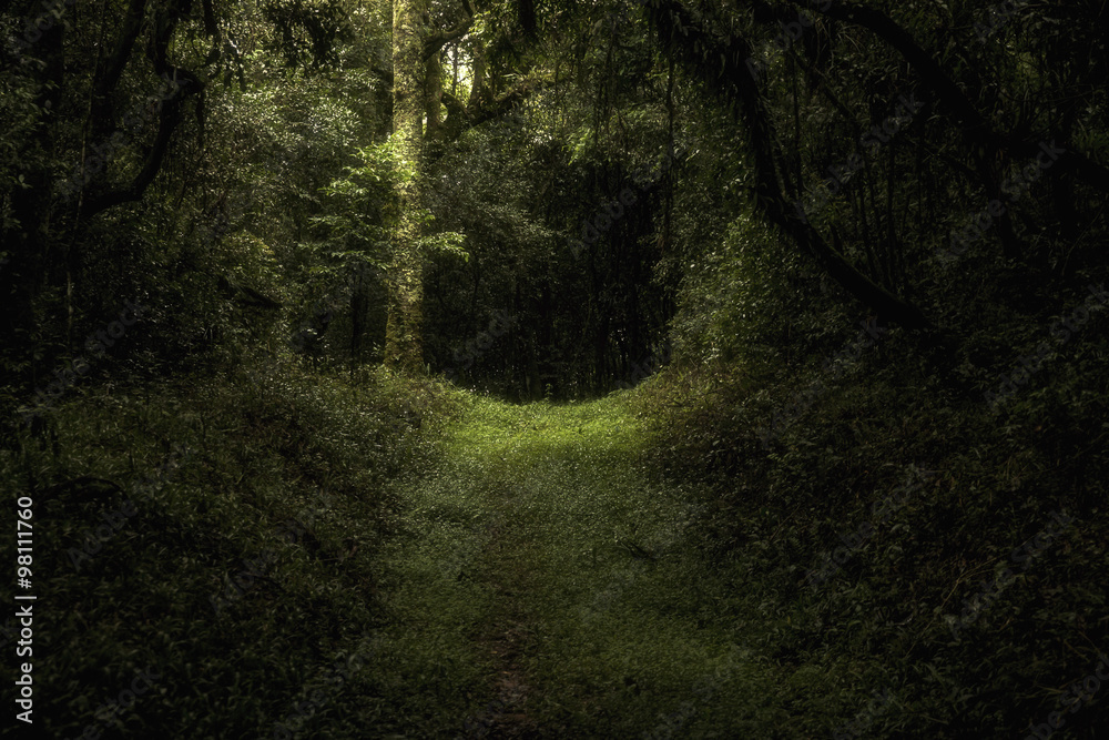 Obraz premium Lugar Mágico