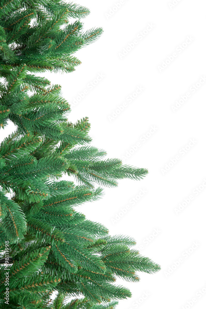 fir tree isolated on white