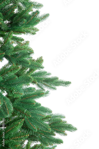 fir tree isolated on white © liskam