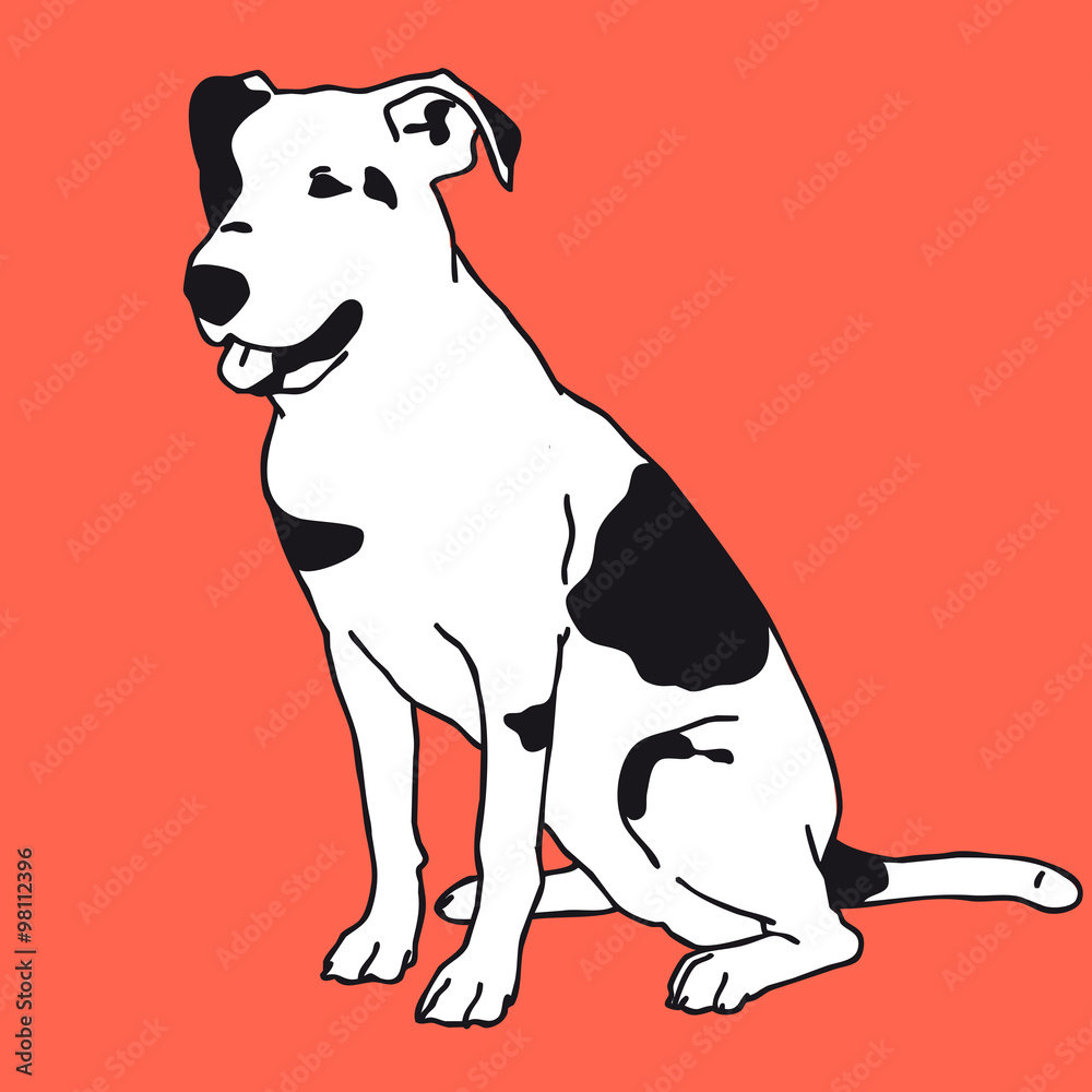 Smart black and white dog color. Man's best friend - flatten isolated illustration master vector. Smart black and white dog color. Man's best friend - flatten isolated illustration master vector.