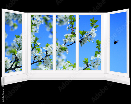 window overlooking the garden with blossoming tree