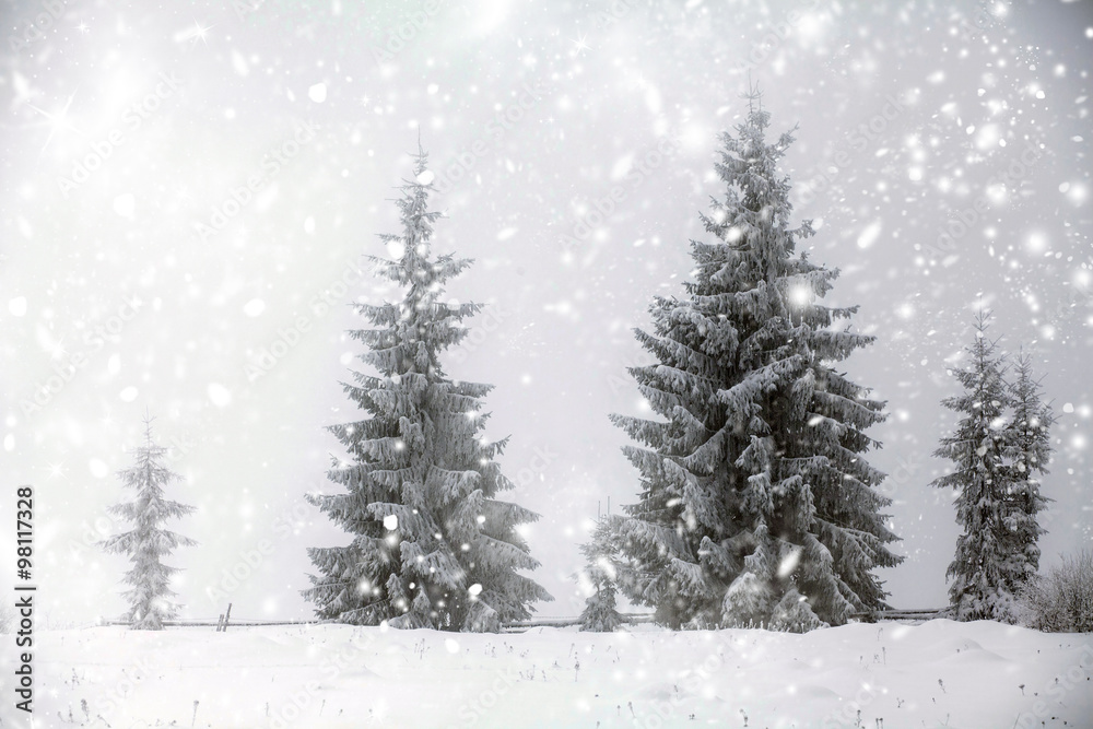 Christmas background with snowy fir trees