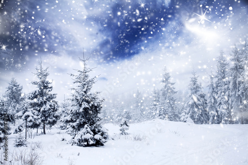 Christmas background with snowy fir trees