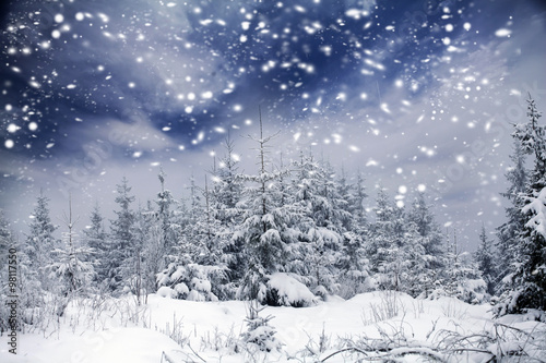 Christmas background with snowy fir trees © erika8213