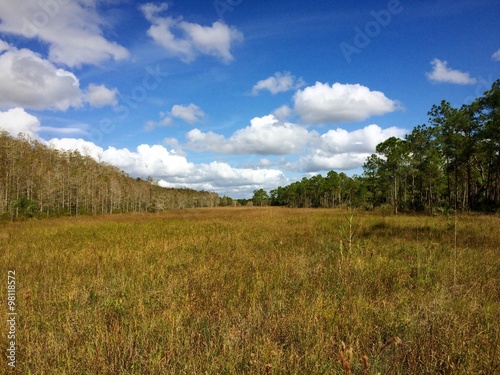 Corkscrew Swamp Sanctuary