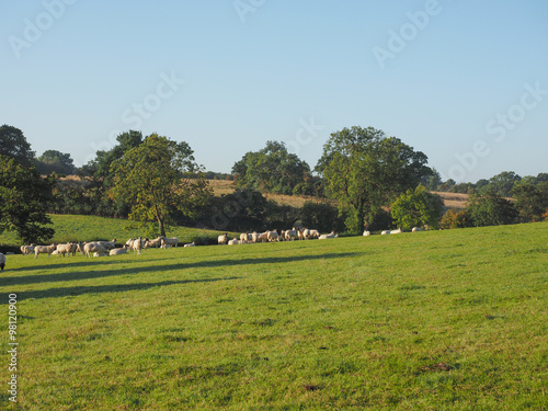 View of Tanworth in Arden photo