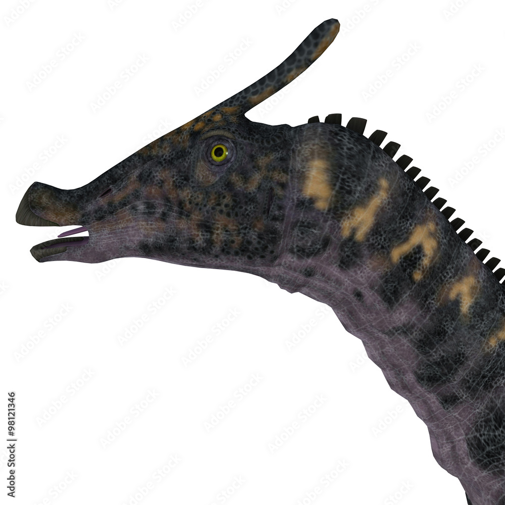 Saurolophus Dinosaur Head - Saurolophus was a Hadrosaur herbivorous ...