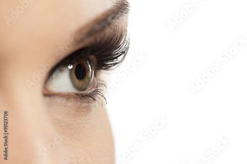 closeup of made-up female eye with artificial eyelashes