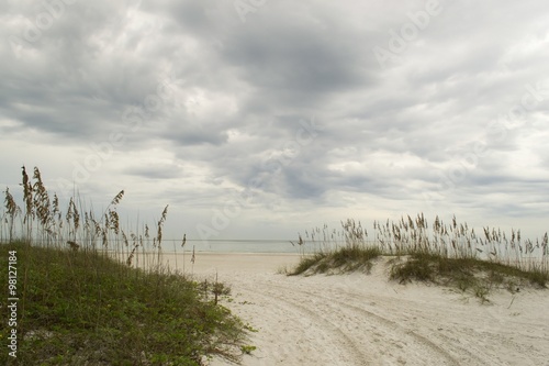 Dunes on Bradenton beach  Florida  with stormy dark sky background