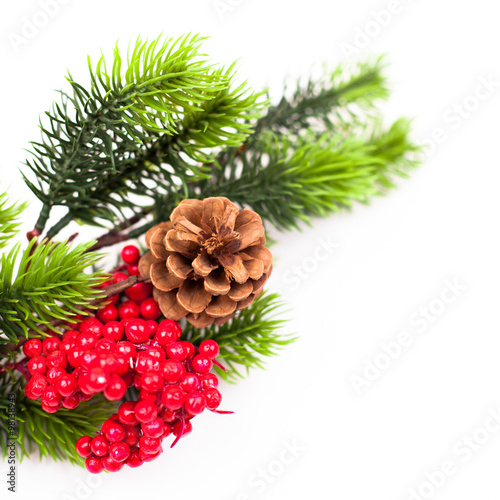 Christmas tree branches border over white