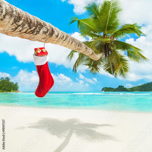 Christmas sock with gifts on palm tree at exotic beach