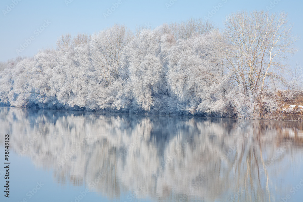 winter scene with white trees winter scene with white trees