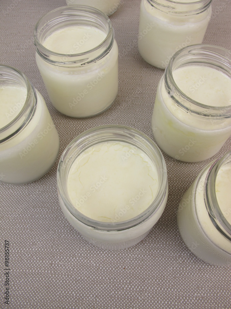Joghurt im Glas aus dem Joghurtbereiter Joghurt im Glas aus dem Joghurtbereiter