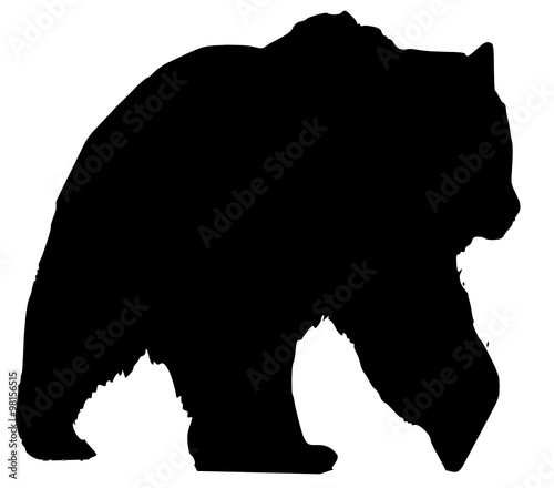 bear2