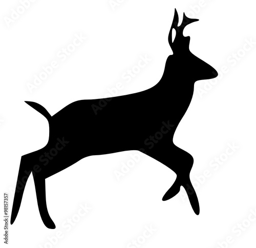 deer