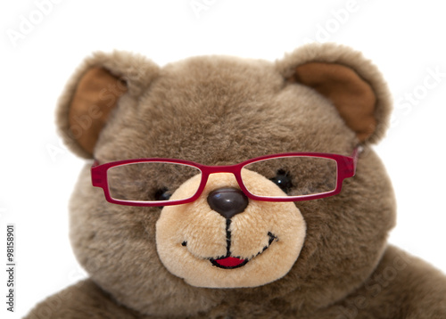 ourson heureux avec des lunettes de vue