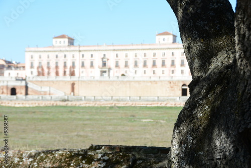 Palacio Infante D.Luis 