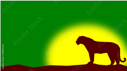 tiger 