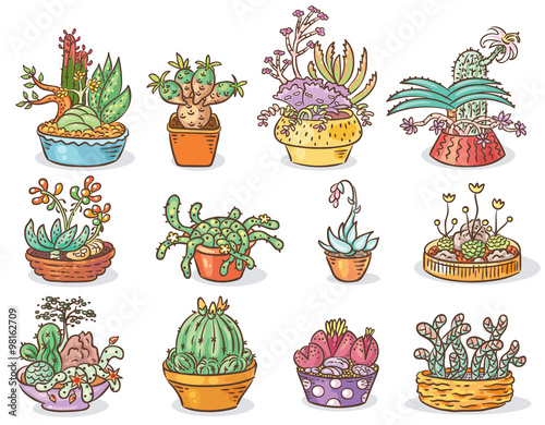 Set of succulent compositions in containers, colorful drawing, isolated