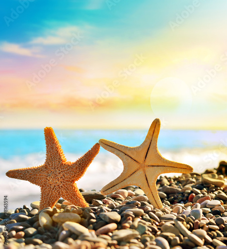Fototapeta Naklejka Na Ścianę i Meble -  Two Starfish on the summer beach