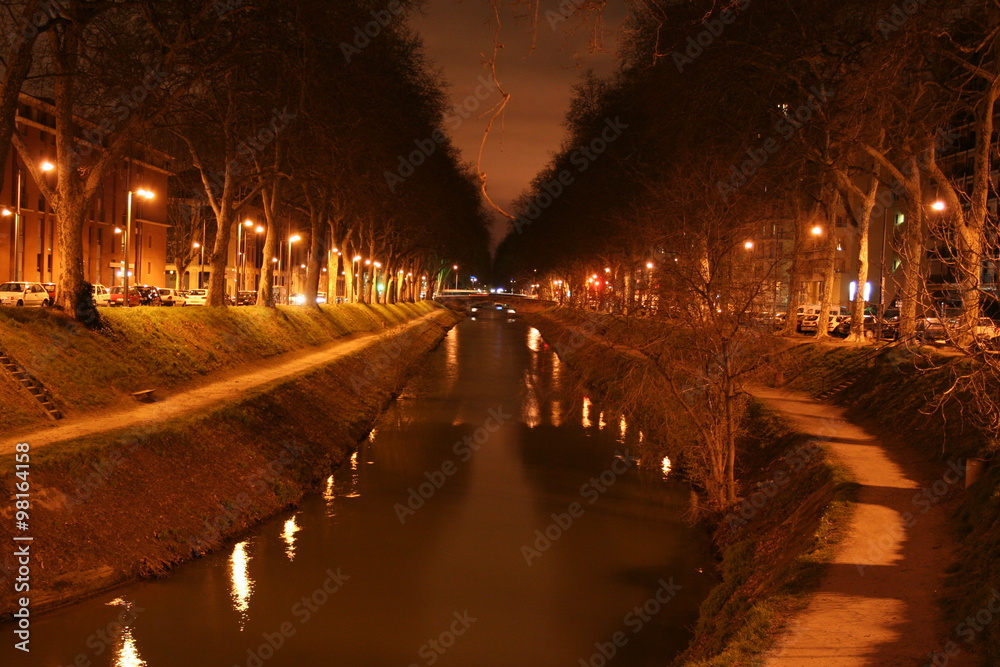 Fototapeta premium Quais de Toulouse