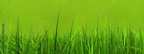 Concept or conceptual green, fresh and natural 3d grass