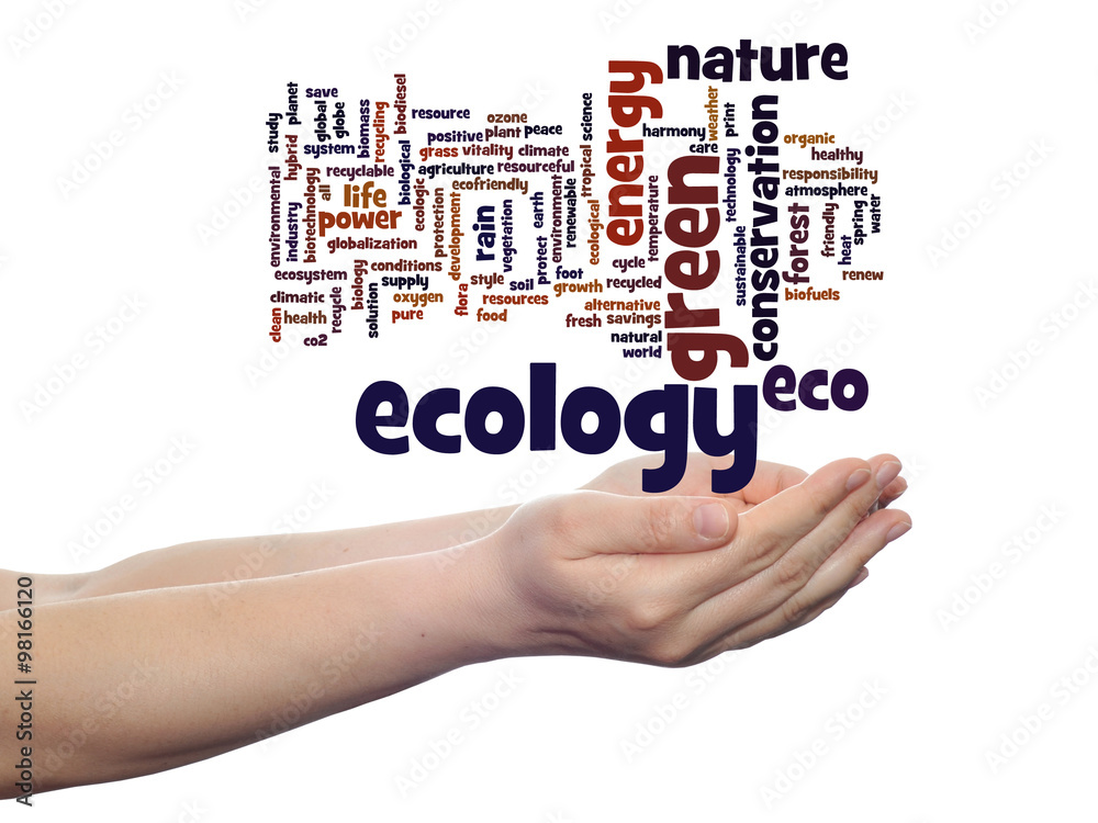 Conceptual ecology word cloud isolated Conceptual ecology word cloud isolated