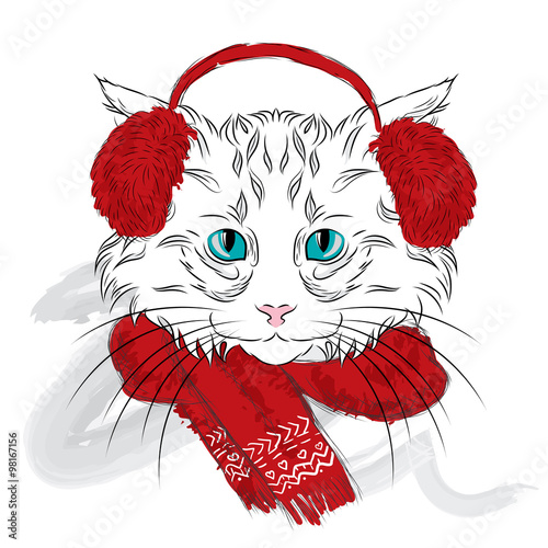 Cat were drawn by hand. Cat vector . Cat in the winter clothes .
 photo