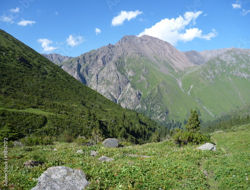mountain valley with green meadows