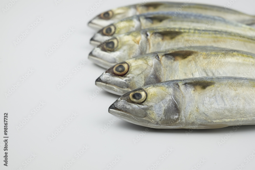 Fresh chub Mackerel on white background. Selective focus Fresh chub Mackerel on white background. Selective focus