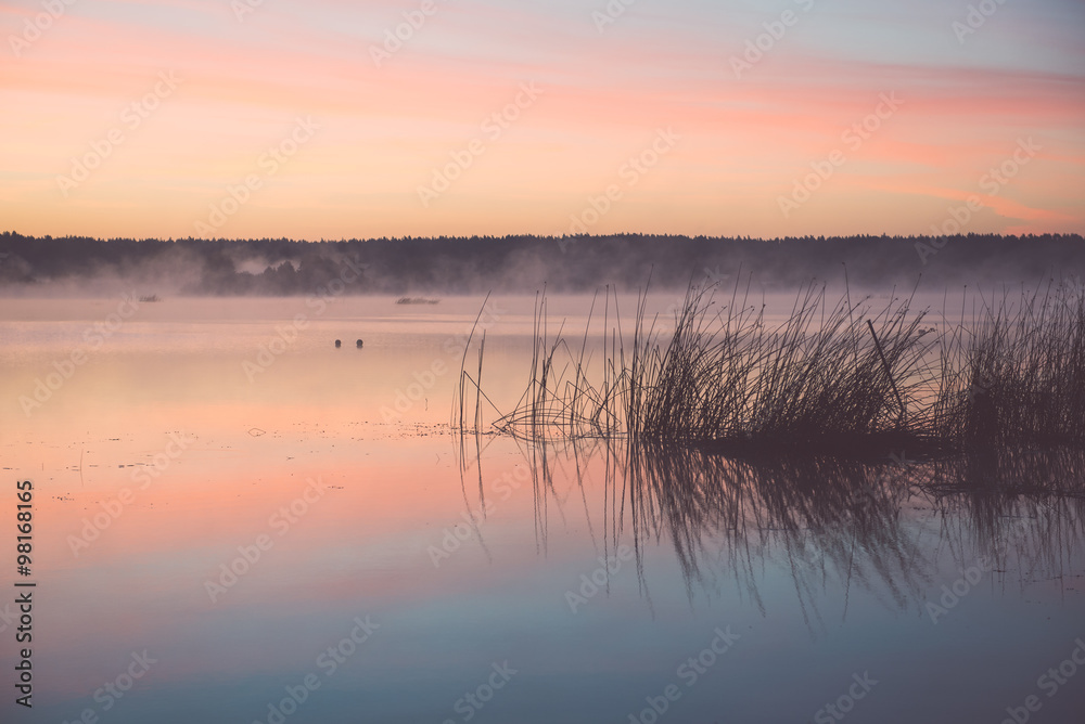 Foggy morning on the country lake - vintage effect