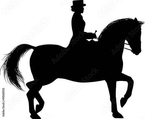 Silhouette of a Woman on horseback. woman rider in a hat and jacket tame a horse