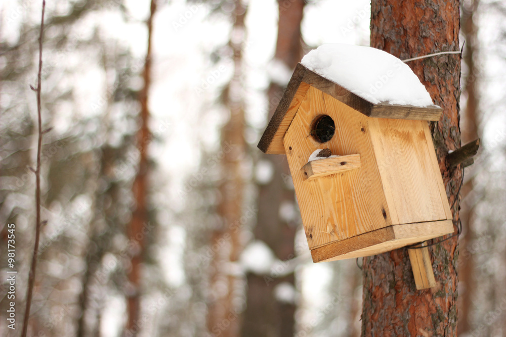 The birdhouse with a snow on the tree