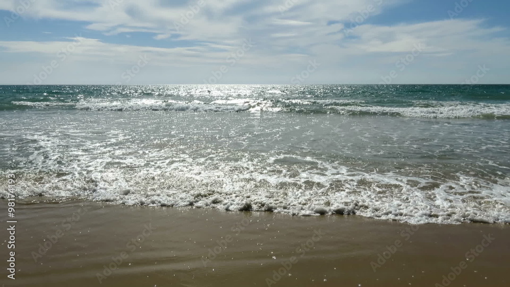subjective shot from ocean water following a wave to man legs black swimwear and bare feet stand in seashore golden sand beach
subjective shot from ocean water following a wave to man legs black swimwear and bare feet stand in seashore golden sand beach