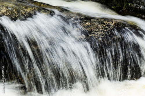 Creek Flow