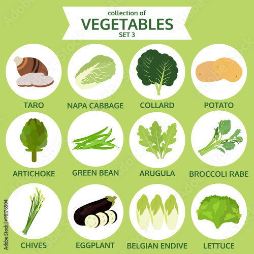 collection of vegetables, food vector illustration, icon set thr