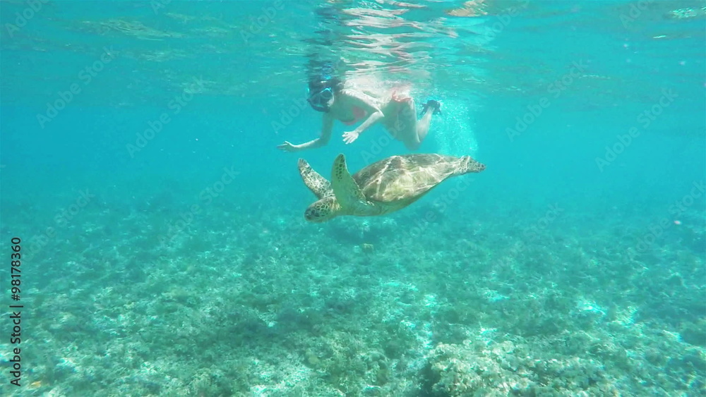Slow motion shot of a girl snorkeling with a sea turtle
Slow motion shot of a girl snorkeling with a sea turtle