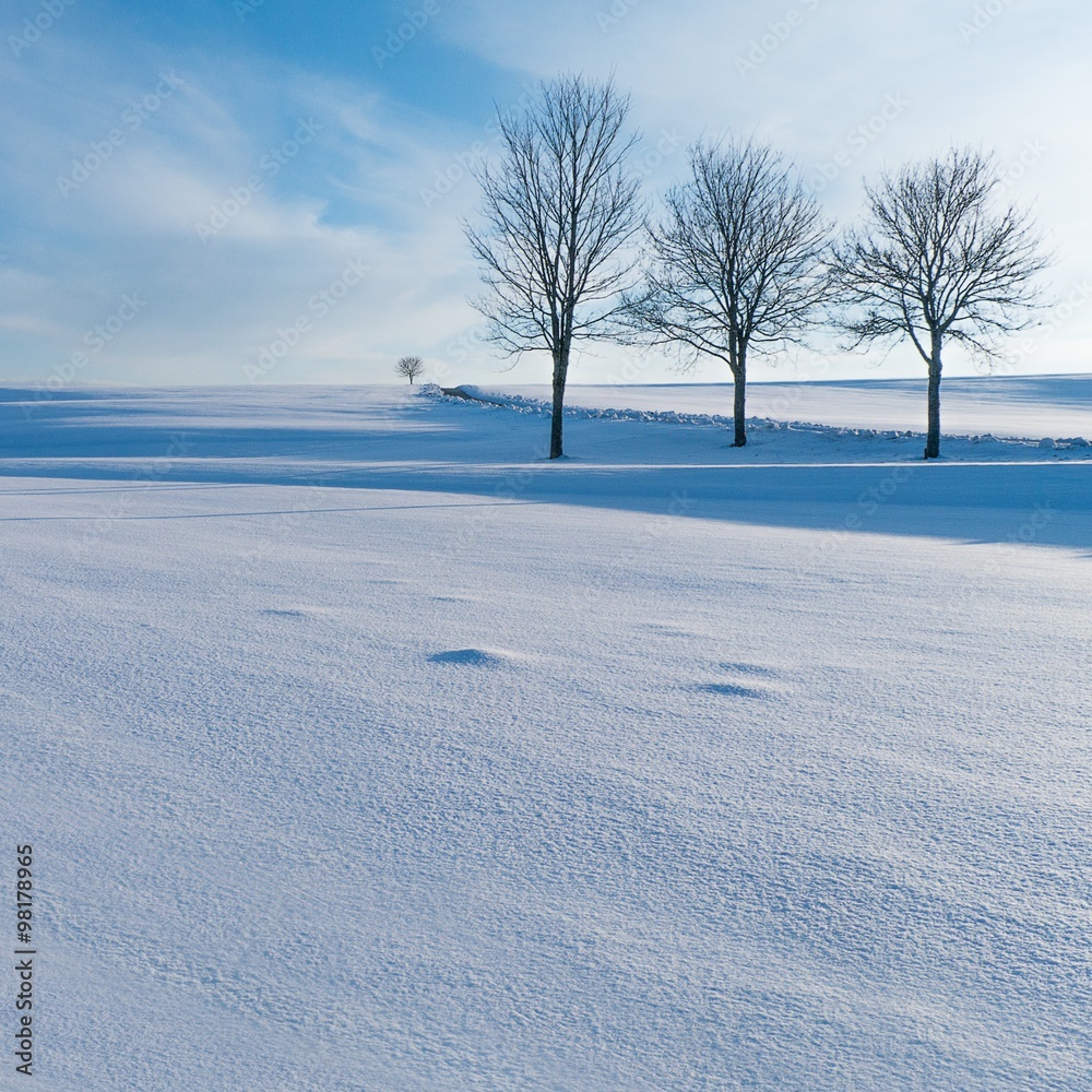 Obraz premium Winterlandschaft