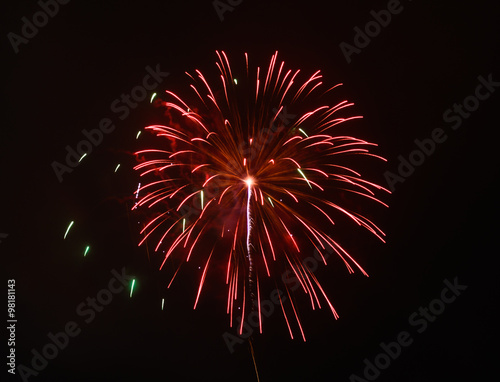 Colorful fireworks in the night sky
