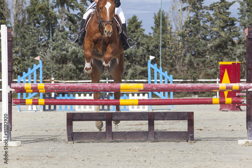 Rider jumping with horse