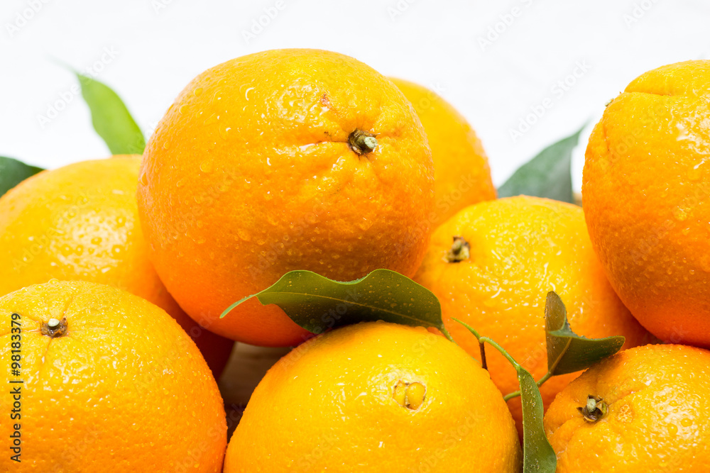 oranges on a white background 