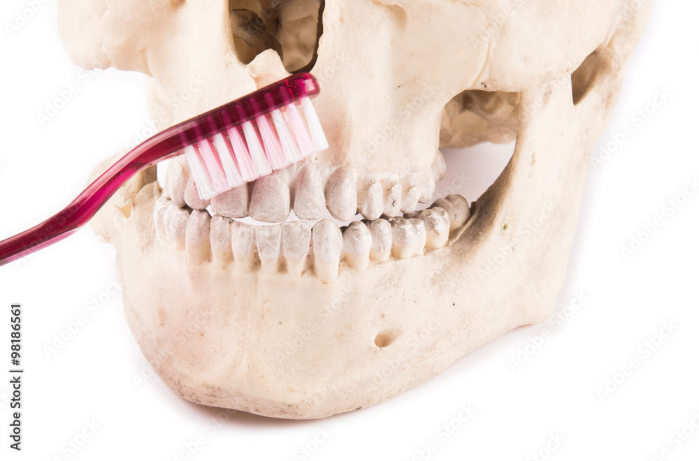 Naklejka premium Zahnpflege